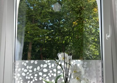 Akupunkturbehandlung im Heilzentrum Helios Nürnberg