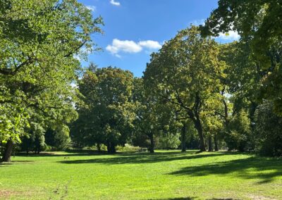 Nürnberger Stadtpark gegenüber dem Heilzentrum Helios