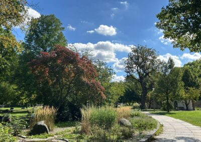 Nürnberger Stadtpark gegenüber dem Heilzentrum Helios